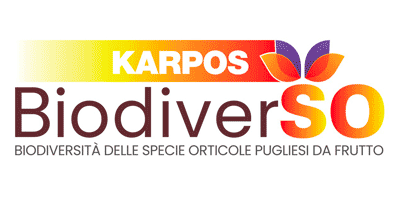 Biodiversità delle Specie orticole pugliesi da frutto