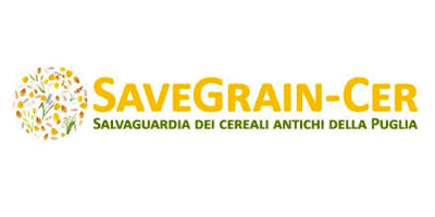 Biodiversità dei cereali antichi pugliesi per la sostenibilità e la qualità