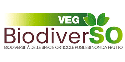 Biodiversità delle Specie orticole pugliesi non da frutto