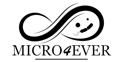 Fermenting metacommunities of food interest: an invaluable biodiversity asset to bemaintained overtime in its wholeness and functionality
